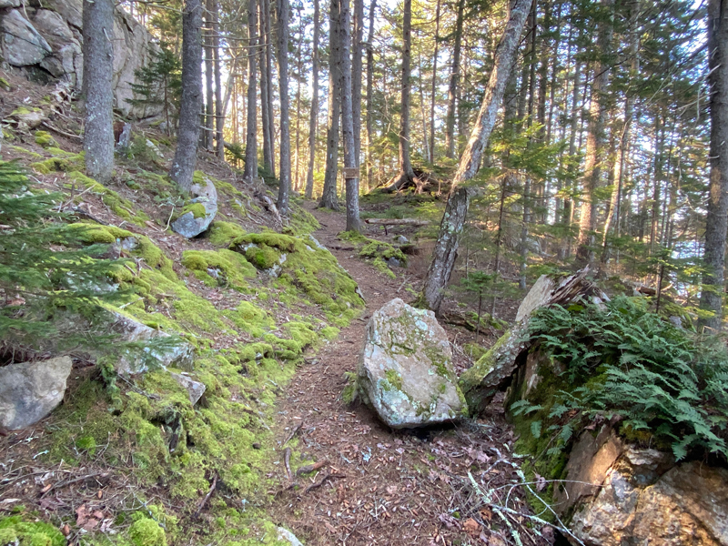 The trails at Tracy Shore in South Bristol feature dramatic rock outcroppings and views of Johns Cove on the Damariscotta River. Coastal Rivers Conservation Trust will host a guided walk at Tracy Shore on Saturday, May 4. (Photo courtesy Coastal Rivers Conservation Trust)