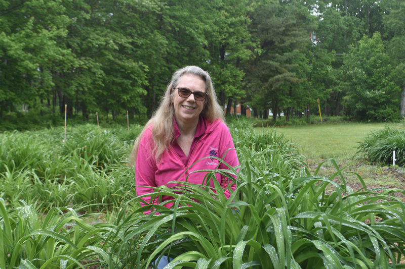 Tina White, of Tina's Daylilies in Jefferson, poses for a photo in one of her daylily gardens. White started selling the perennial flowers 12 years ago and has been hosting an annual fundraiser for multiple sclerosis research for the last decade. (Molly Rains photo)