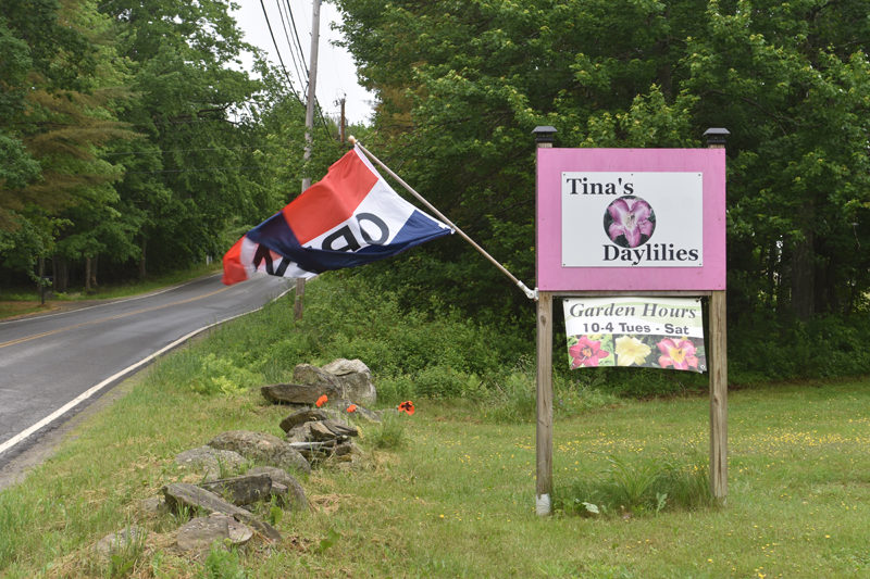 The bright pink sign in front of Tina's Daylilies, on East Pond Road in Jefferson, welcomes customers in to admire the blooms curated by business owner Tina White. (Molly Rains photo)