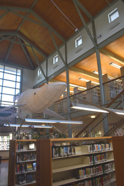 The stacks at Skidompha Public Library in Damariscotta. The library has over 35,000 items in its physical collection, according to Executive Director Matthew Graff. (Molly Rains photo)