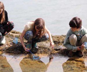 South Bristol School students spend the day at Plummer Point learning about forest and water ecology. (Photo courtesy South Bristol School)