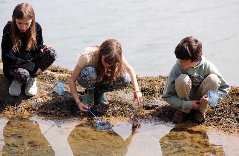 South Bristol School students spend the day at Plummer Point learning about forest and water ecology. (Photo courtesy South Bristol School)