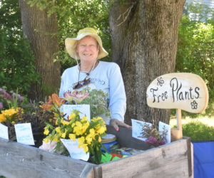 Anne Nord, of Damariscotta, stands behind her wooden flower cart the afternoon of Friday, June 28. Nord provides bouquets and live plants to brighten the days of passers-by. (Molly Rains photo)