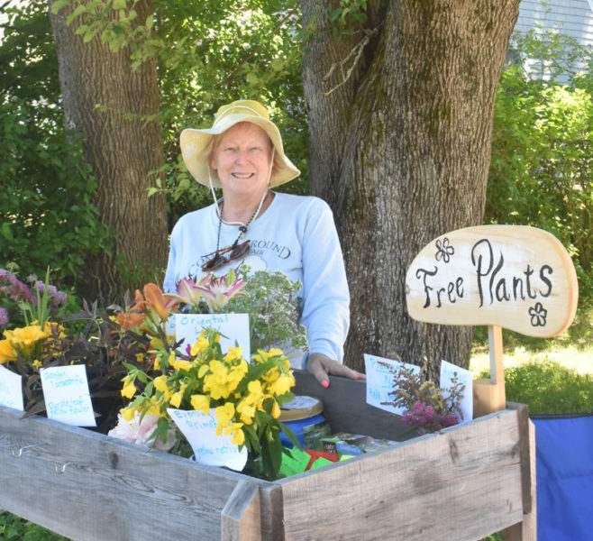 Anne Nord, of Damariscotta, stands behind her wooden flower cart the afternoon of Friday, June 28. Nord provides bouquets and live plants to brighten the days of passers-by. (Molly Rains photo)