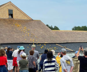 Attendees watch a previous Rubber Ducky Race. The annual event will be held Sunday, Aug. 11 at the Mill at Pemaquid Falls. (Photo courtesy Old Bristol Historical Society)