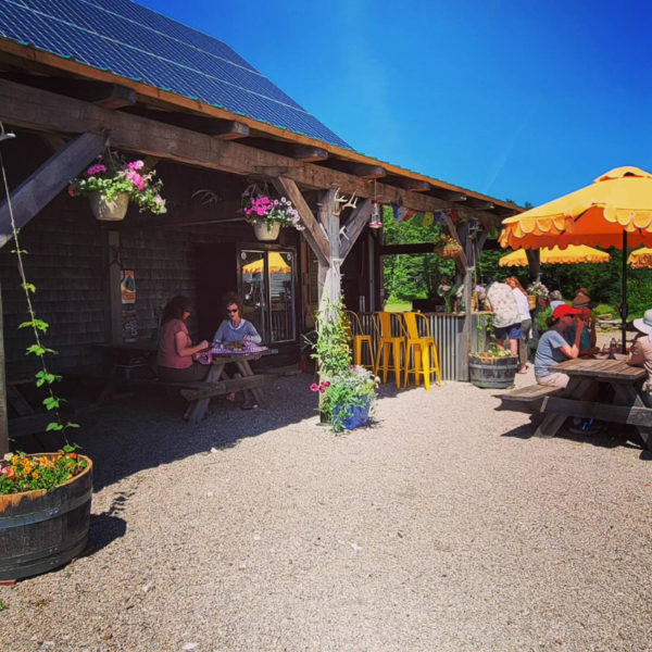 Customers enjoy a sunny day at Sasanoa Brewing on Westport Island. (Courtesy photo)