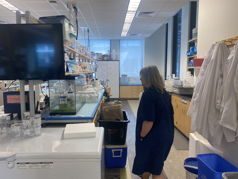 Dr. Deborah Bronk stands in one of Bigelow's labs at the institute in Boothbay. Bigelow has 120 scientists conducting research, and just sent off their summer interns after weeks of working in the research labs. (Frida Hennig photo)