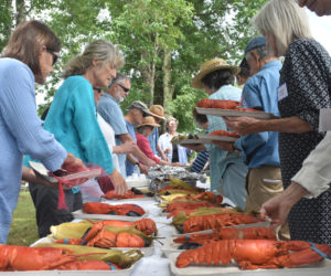 Volunteers and members of the Lincoln County Democratic Committee serve up steamed lobsters on Sunday, Aug. 4, at the committee's annual lobster bake. The event was catered by Jeff Hurd, of the Narrows Tavern and Cider Hill Farm, where the lobster bake was held. (Molly Rains photo)