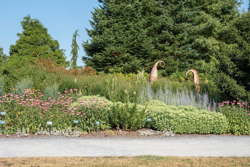 "Eci-Mahsosiyil/Fiddleheads," by Shane Perley-Dutcher (Photo courtesy Coastal Maine Botanical Gardens)