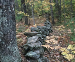 The Schmid Preserve provides public access to miles of trails, streams, wetlands, wildlife habitat, and historic sites. (Photo courtesy Lisa McSwain)