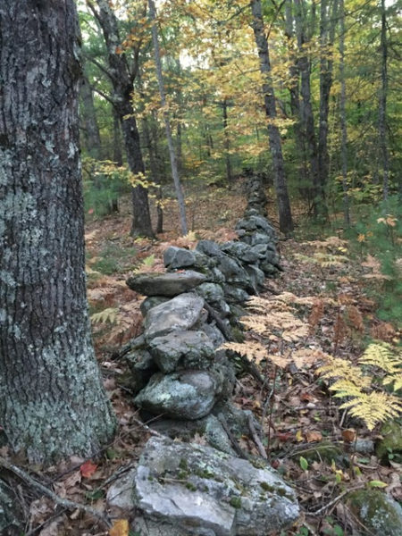 The Schmid Preserve provides public access to miles of trails, streams, wetlands, wildlife habitat, and historic sites. (Photo courtesy Lisa McSwain)