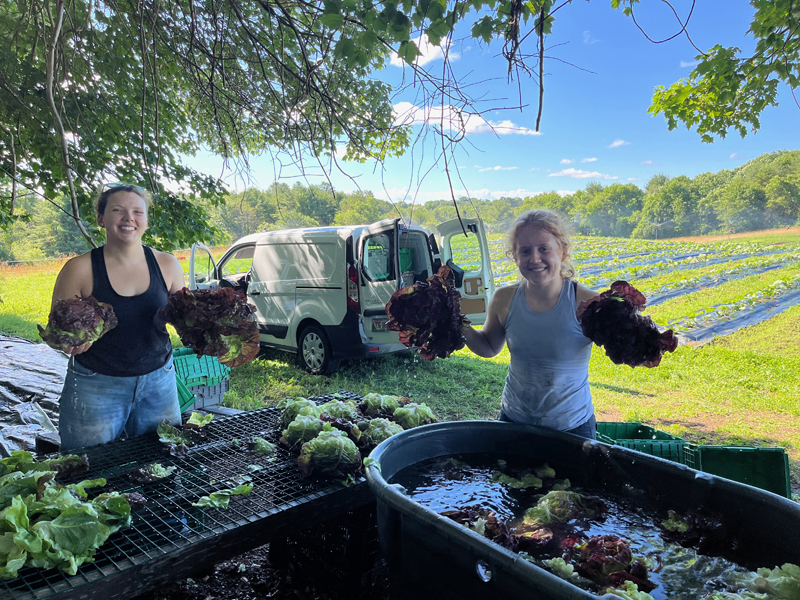 Lindsay Damon (left) and Skyler Houghton wash and pack organic produce for donation at Twin Villages Foodbank Farm in Damariscotta. (Courtesy photo)