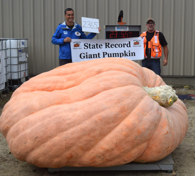 WGME CBS 13 Chief Meteorologist Charlie Lopresti (left) holds a banner declaring him the new state record holder for largest pumpkin at the Damariscotta Pumpkinfest & Regatta Great Pumpkin Commonwealth weigh-off at Louis Doe Home Center in Newcastle on Sunday, Oct. 6. Lopresti's 2,365.5-pound pumpkin smashed the old state record of 2,121.5 pounds set in 2021 by Edwin Pierpont, of Jefferson. (Nolan Wilkinson photo)