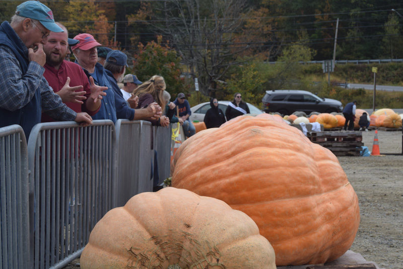 People watch organizers prepare for the Damariscotta Pumpkinfest & Regatta's Great Pumpkin Commonwealth weigh-off in Newcastle on Sunday, Oct. 6. Around 40 participants and observers came to the weigh-off. (Nolan Wilkinson photo)