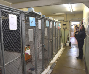 Midcoast Humane Executive Director Jess Townsend stands beside dog kennels inside the organization's Edgecomb shelter, which is a converted house gifted to the organization in 1987. (Molly Rains photo)