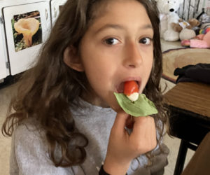 Wiscasset Elementary School student Jazmyn Rhinebolt samples a caprese appetizer the fourth grade class made with basil they grew in a hydroponic garden. (Photo courtesy Becky Hallowell)