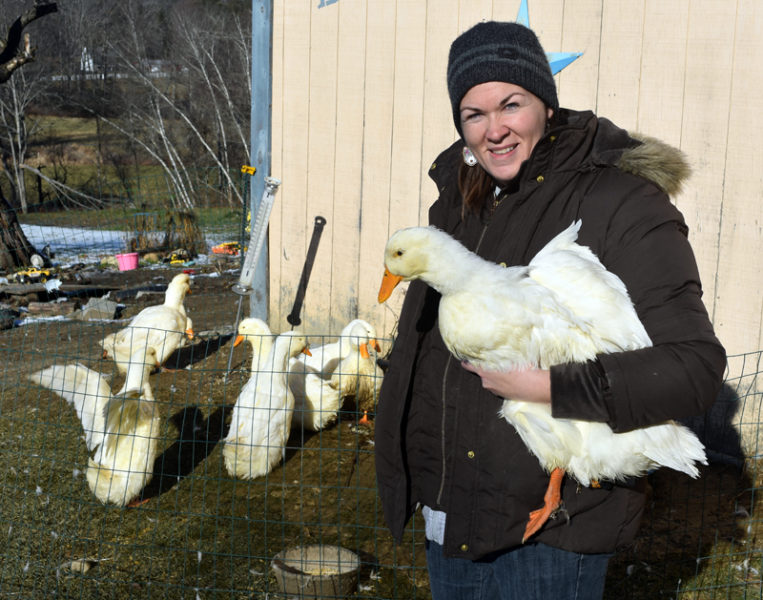 Jefferson poultry breeder Sarah Merrill holds the youngest of her rare German Pekin ducks, named Flower, on Goose Hill Road the morning of Monday, Dec. 2. Merrill credited her grandmother, Jane Eddington-Freeman, with giving her a love of ducks and showing birds at poultry shows. (Molly Rains photo)