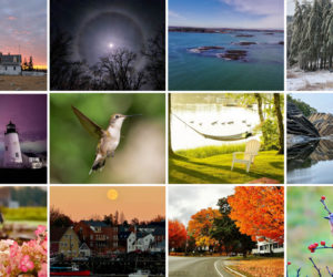 The 12 monthly winners of the 2024 #LCNme365 photo contest.