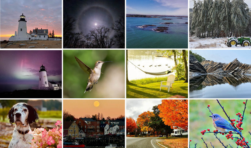 The 12 monthly winners of the 2024 #LCNme365 photo contest.