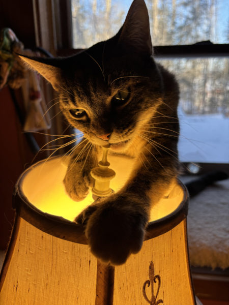 Star Wars worships the lamp god. (Iris Stanley photo)