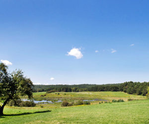 Mid-Coast Audubon will host an introduction to birding field trip at Coastal Rivers Conservation Trusts Salt Bay Farm in Damariscotta on Sunday, June 29. (Courtesy photo)