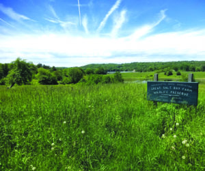 The local community initiative Bee AWARE will hold its fourth annual Juneteenth celebration at Coastal Rivers Conservation Trusts Salt Bay Farm, at 110 Belvedere Road in Damariscotta, on Thursday, June 19. (Courtesy photo)