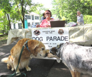 Two dogs sit near the registration table for the popular dog parade during Summerfest on the Wiscasset common. This years event is scheduled for Saturday, July 26. (Courtesy photo)