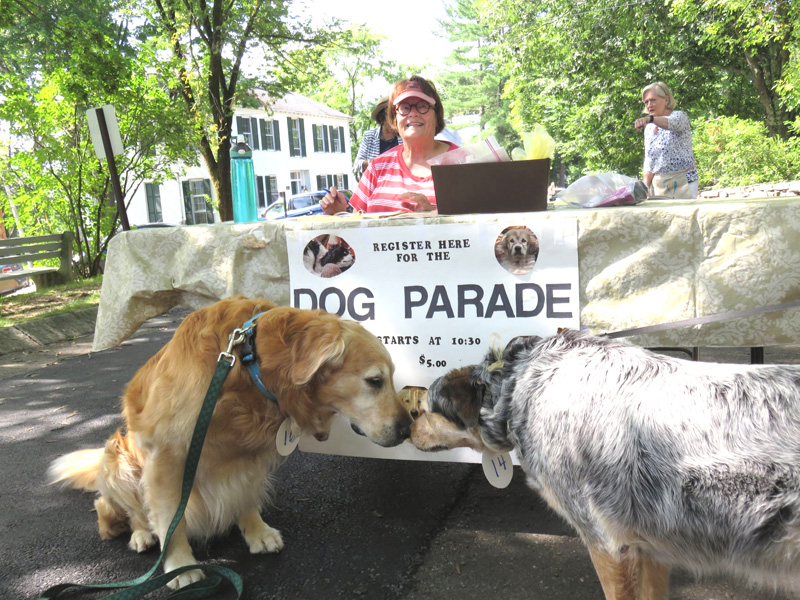 Two dogs sit near the registration table for the popular dog parade during Summerfest on the Wiscasset common. This years event is scheduled for Saturday, July 26. (Courtesy photo)