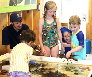 Visitors to the Beachcombers Discovery Center explore the touch tank. (Photo courtesy Kris Christine)