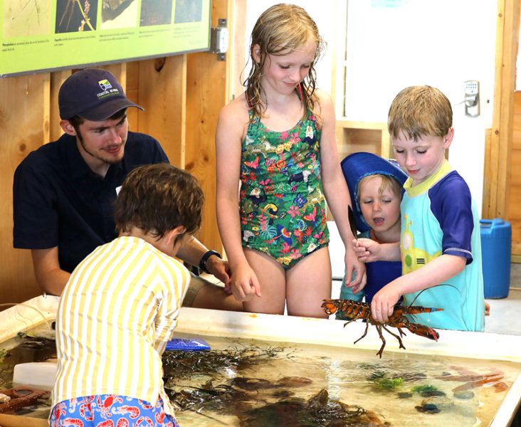 Visitors to the Beachcombers Discovery Center explore the touch tank. (Photo courtesy Kris Christine)