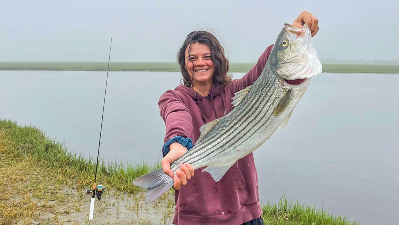 Abby Remick holds a 28-inch striped bass caught in the Scarborough Marsh in June. (Photo courtesy University of Maine)