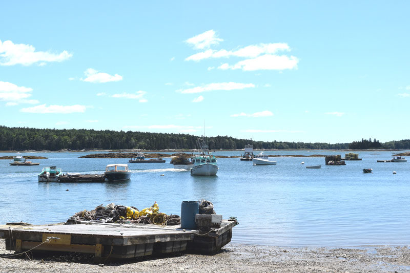 Boats steer through Broad Cove in Bremen on Monday, July 21. Harvesting in parts of the cove was recently shut down due to water contamination. (Ali Juell photo)
