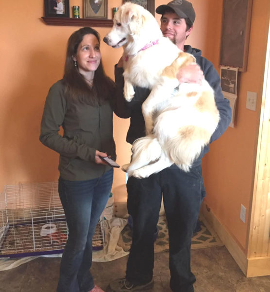 Lily, a 7-year-old Australian shepherd mix, looks a little confused as her people, Breanna and Evan Lawrence, share a moment. The couple's only dog, Lily is just one of the animals Breanna Lawrence cares for at the couples Jefferson home. (Courtesy photo)