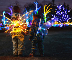 Two youngsters take in the sights during Gardens Aglows community night in 2024. (Photo courtesy Coastal Maine Botanical Gardens)