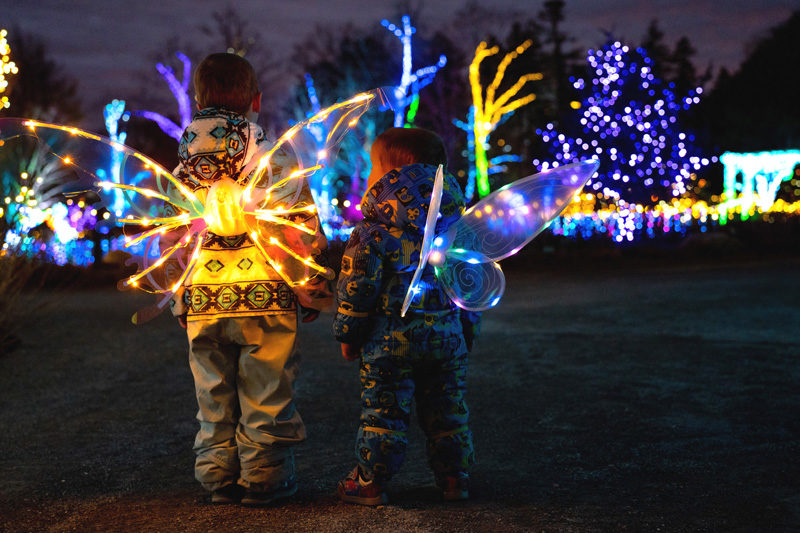 Two youngsters take in the sights during Gardens Aglows community night in 2024. (Photo courtesy Coastal Maine Botanical Gardens)