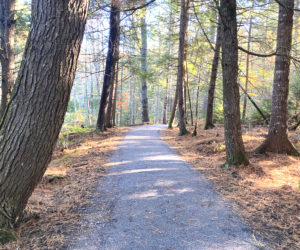 The new Americans with Disabilities Act-accessible trail at Castner Brook Community Forest winds through hemlock-shaded woods near downtown Damariscotta. (Photo courtesy Coastal Rivers Conservation Trust)