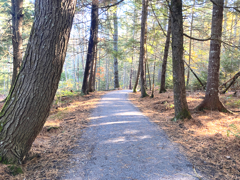The new Americans with Disabilities Act-accessible trail at Castner Brook Community Forest winds through hemlock-shaded woods near downtown Damariscotta. (Photo courtesy Coastal Rivers Conservation Trust)