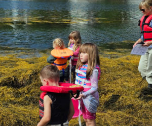 South Bristol School students take a field trip to the Boothbay Sea and Science Center for Marine Week. (Photo courtesy South Bristol School)