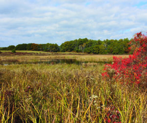 Naturalist Sarah Gladu will lead a guided hike at Salt Bay Farm in Damariscotta on Monday, Nov. 17. (Photo courtesy Coastal Rivers Conservation Trust)