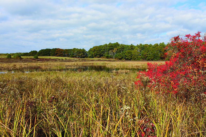 Naturalist Sarah Gladu will lead a guided hike at Salt Bay Farm in Damariscotta on Monday, Nov. 17. (Photo courtesy Coastal Rivers Conservation Trust)