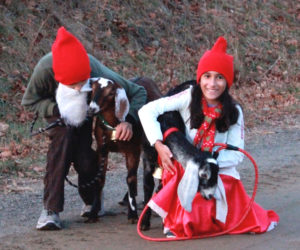 Keiran and Sarita Roopchand, dressed as tomten, hold with a couple Yule Goats. (Photo courtesy Kelly Payson-Roopchand)