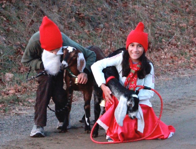 Keiran and Sarita Roopchand, dressed as tomten, hold with a couple Yule Goats. (Photo courtesy Kelly Payson-Roopchand)