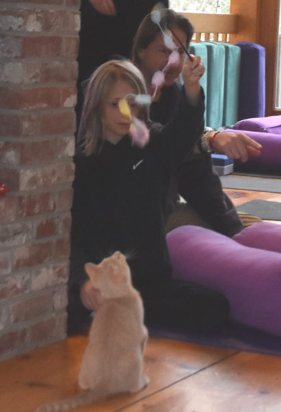 Ten-year-old Kestrel Crafts plays with a kitten during kitten yoga at Live From Love Center in Bremen on Sunday, Nov. 30. The sold out event was a fundraiser for Midcoast Humane. (Claire Taylor photo)