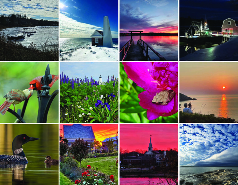 The 12 monthly winners of the 2025 #LCNme365 photo contest.