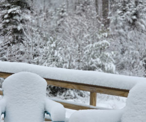 Winter wonderland in Round Pond the morning of Monday, Jan. 19. (Photo courtesy Lori Crook)