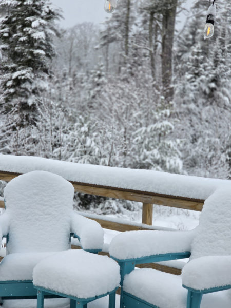 Winter wonderland in Round Pond the morning of Monday, Jan. 19. (Photo courtesy Lori Crook)
