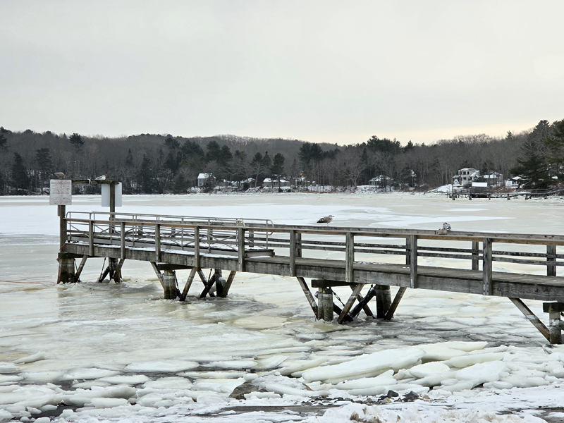 The harbor is looking pretty empty and desolate. (Photo courtesy Lori Crook)