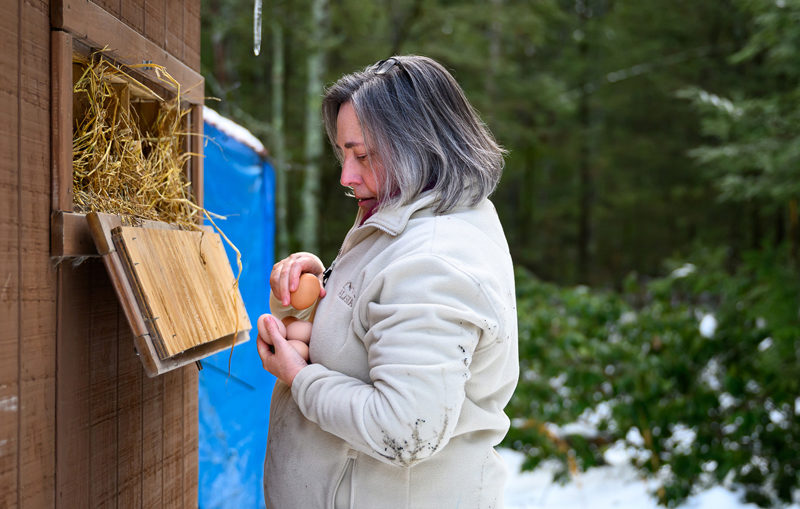 Char Corbett gathers eggs at her home in Bremen. Raising chickens is just one of many hobbies that started during the isolation of the COVID-19 pandemic in 2020. (Bisi Cameron Yee photo)