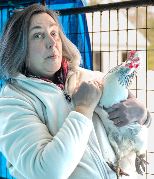 Char Corbett poses with one of her flock at her home in Bremen on Jan. 9. She currently keeps around 10 chickens, all with biblical names. (Bisi Cameron Yee photo)