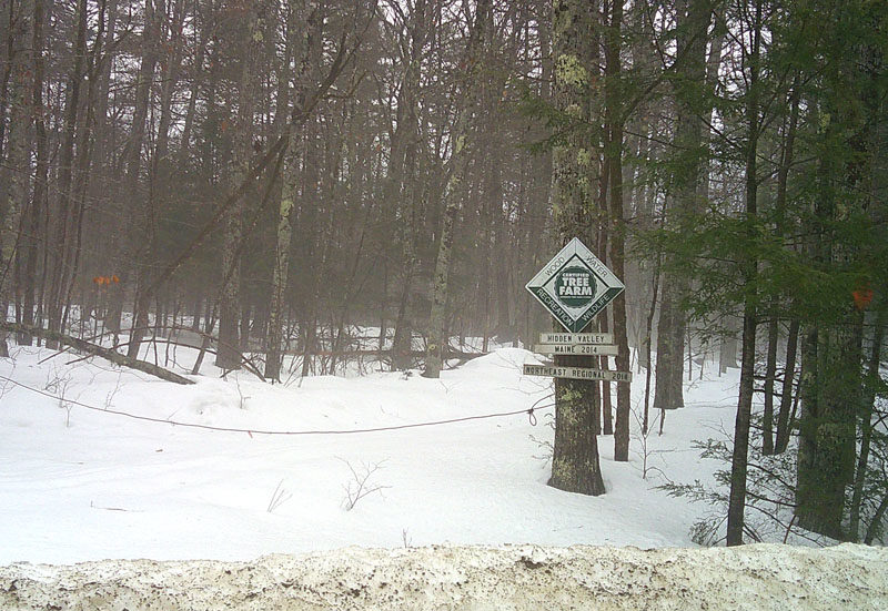 Hidden Valley Farm and Forest in Whitefield. After watching over and expanding the property for almost 50 years, owners David Tracy Moskovitz and Bambi Jones plan on gifting or selling their land to a nonprofit that will continue to work with the community, focus on conservation, and look over the land. (Emily Bracher photo)